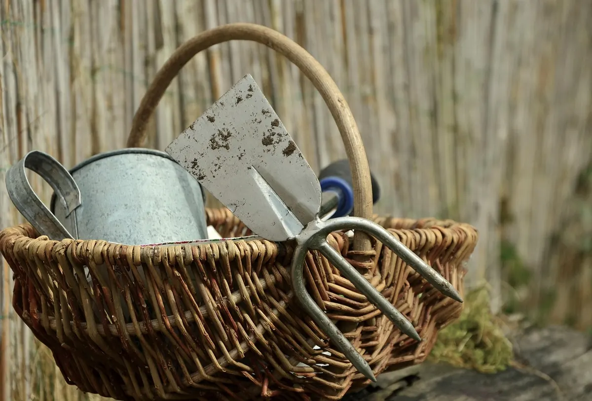 Allotments